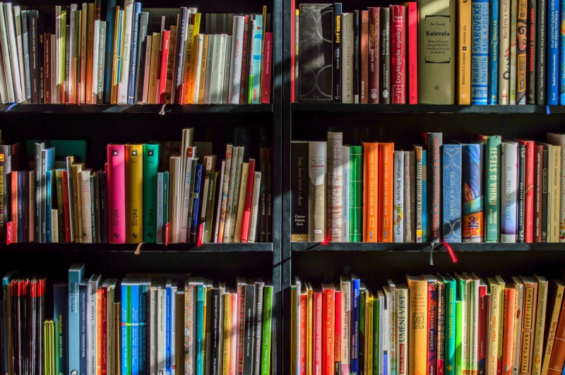 ecommerce-LA GARDE-min_books_bookstore_book_reading_shop_writer_sale_books_read-822866